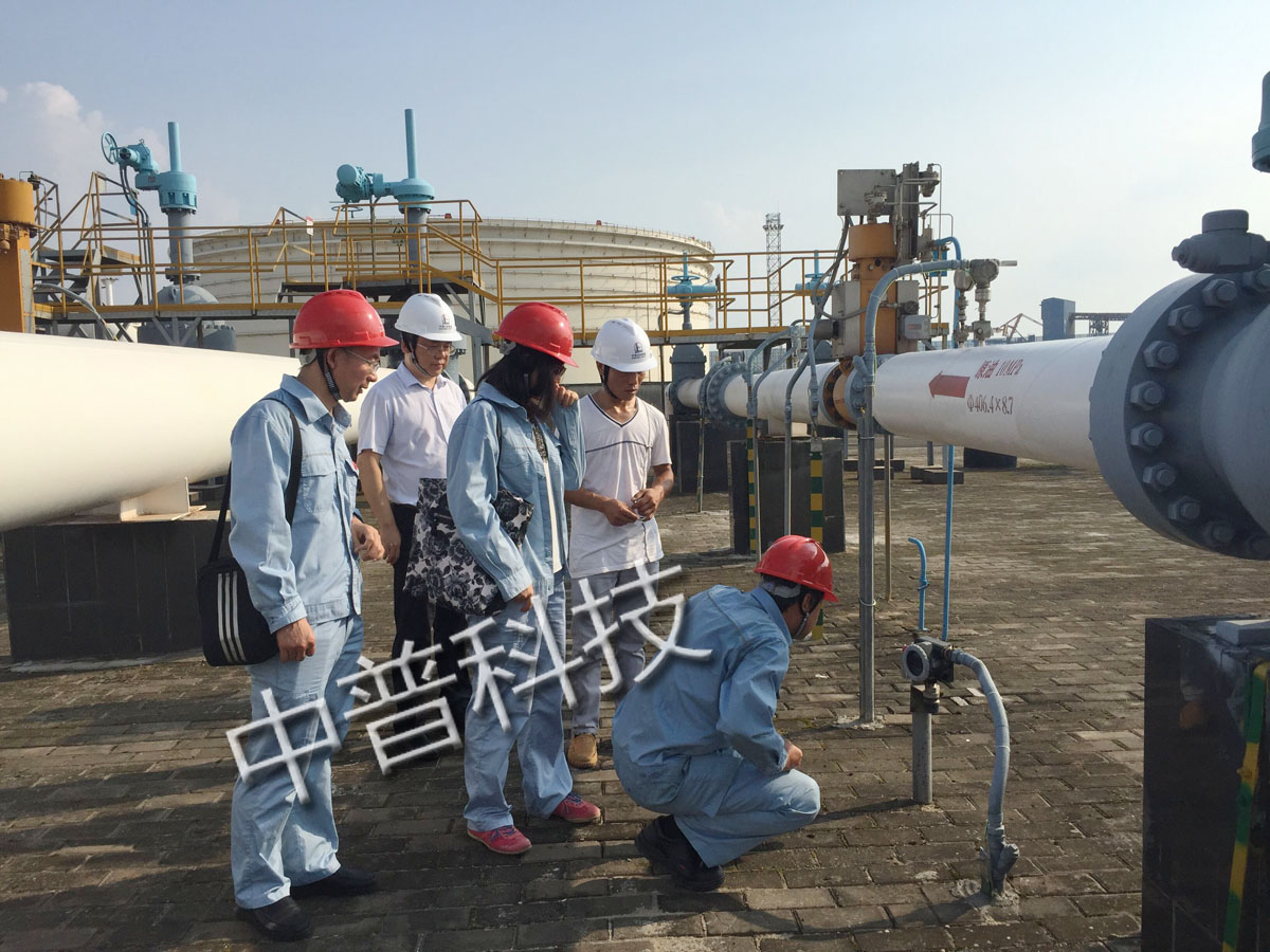 湛江石油化工项目(湛江石油化工项目招标)