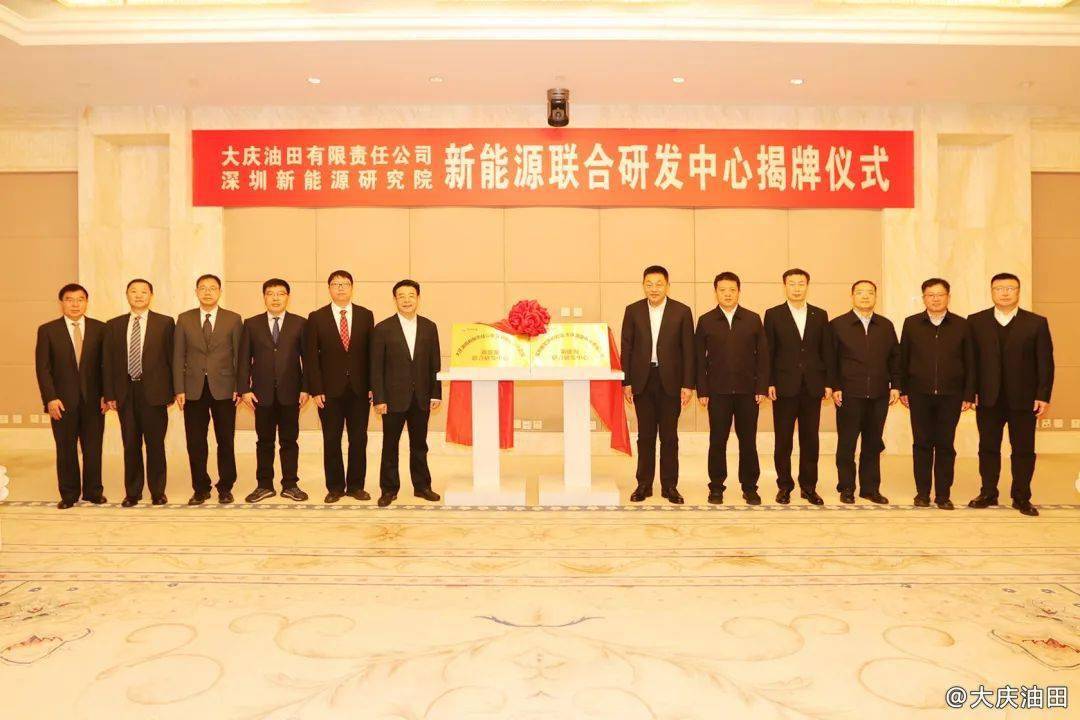中国联合石油公司(中国联合石油有限责任公司)