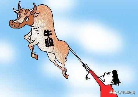 细分行业龙头股(细分行业龙头股票一览表)